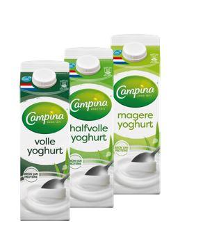 Yoghurt